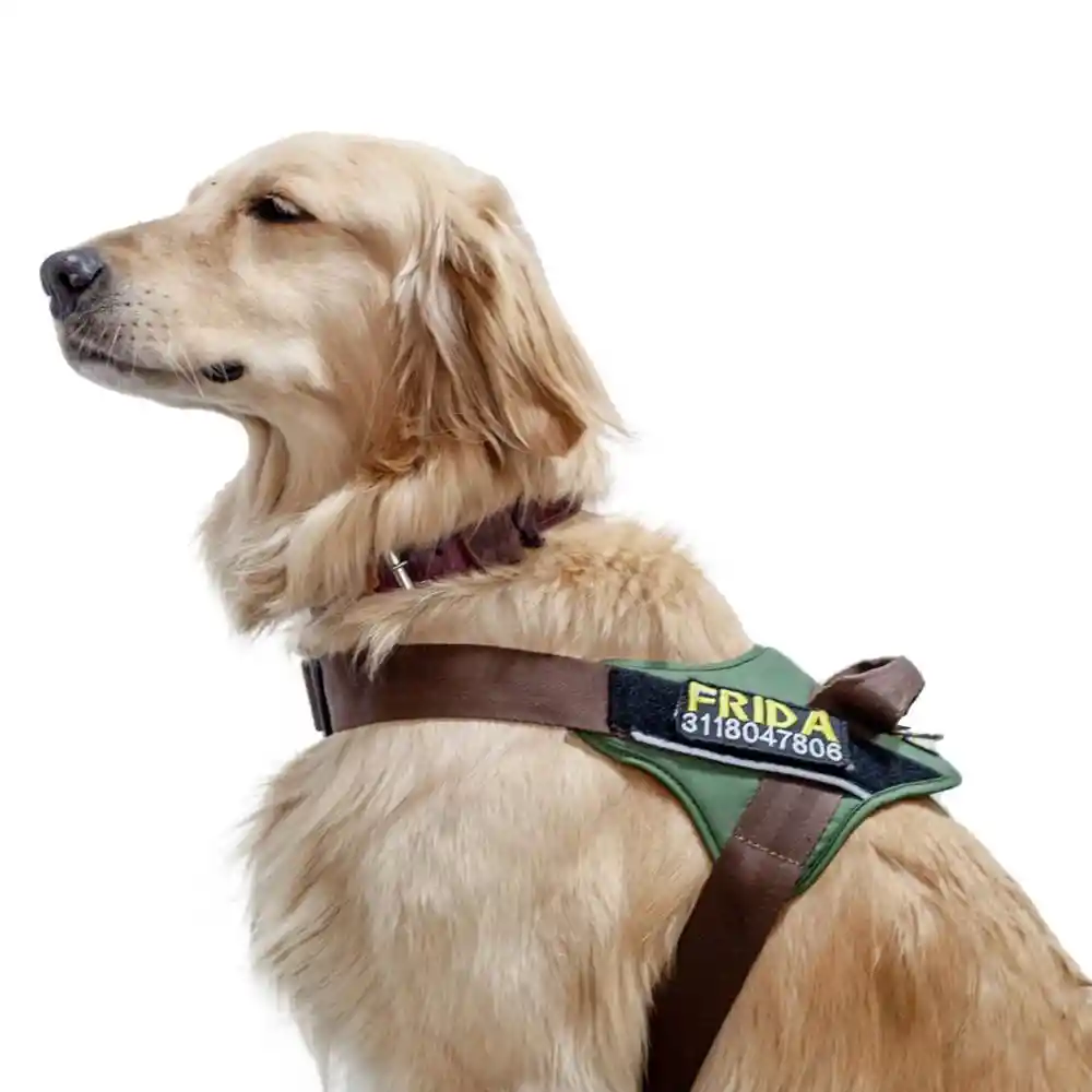 Felcan Arnés Para Perro Mini Trabajador Verde Militar Café M