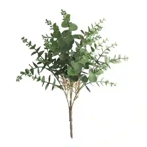 Hoja de Dinero Gio Home