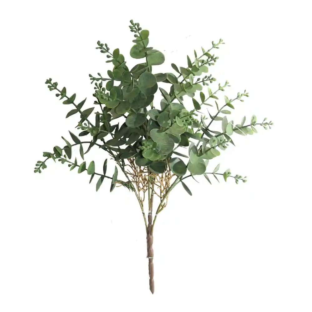 Hoja de Dinero Gio Home
