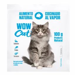 Wow Cat Alimento Húmedo para Gato Adulto Sabor Salmón