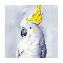 Lienzo Krea Animales 04 20x20cm