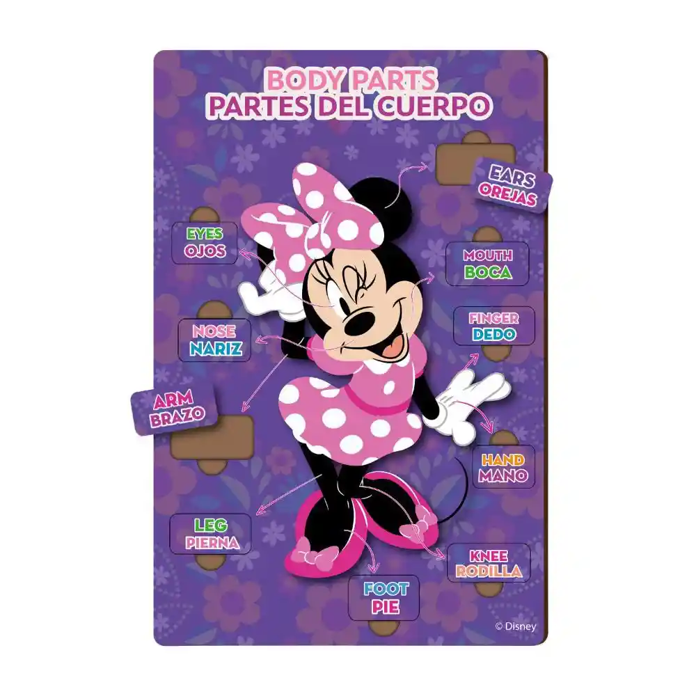 Partes Del Cuerpo Minnie Ronda