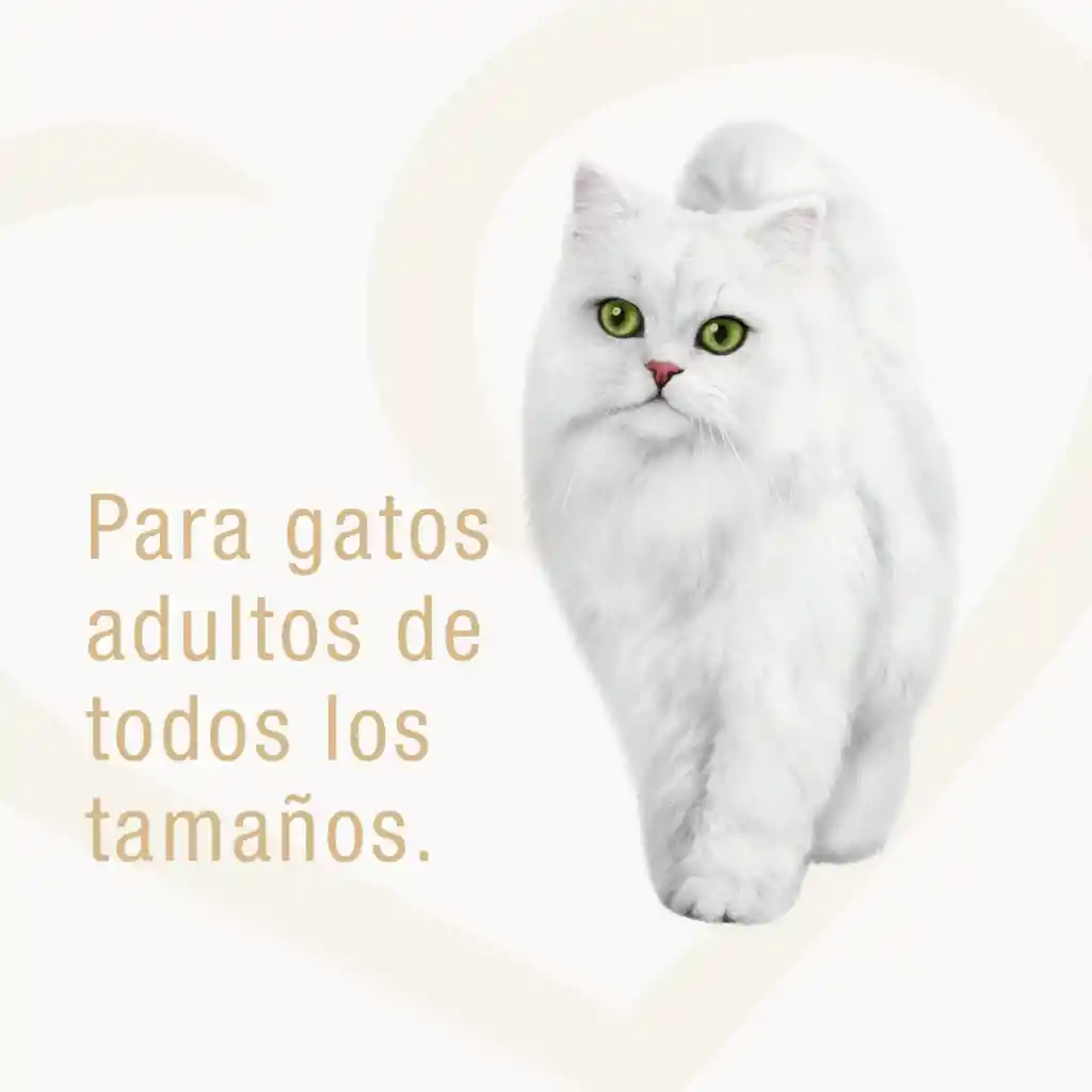 Comida húmeda para gato Purina Fancy Feast Petits Filets sabor a salmón x 85gr