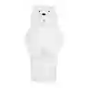 Botellas de Viaje Polar we Bare Bears Collection 5.0 Miniso