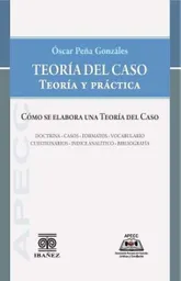 Teoría Del Caso Teoría y Práctica