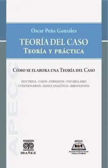 Teoría Del Caso Teoría y Práctica