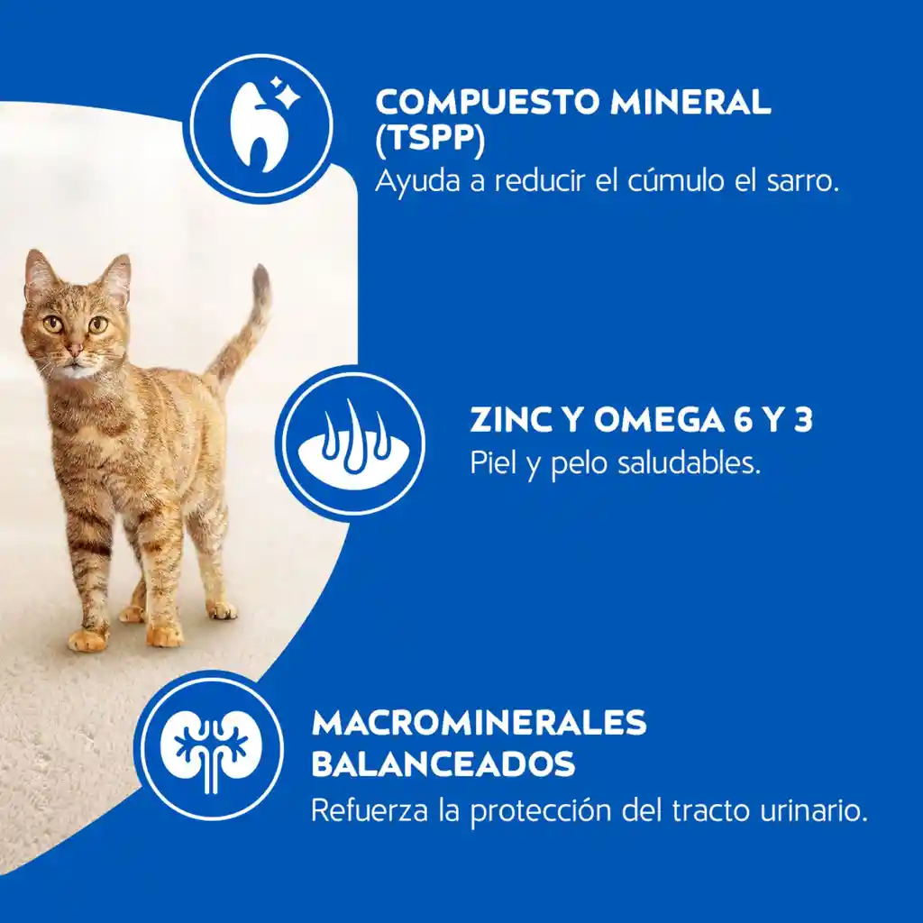 Comida para gatos Purina Cat Chow adulto carne x 500 gr