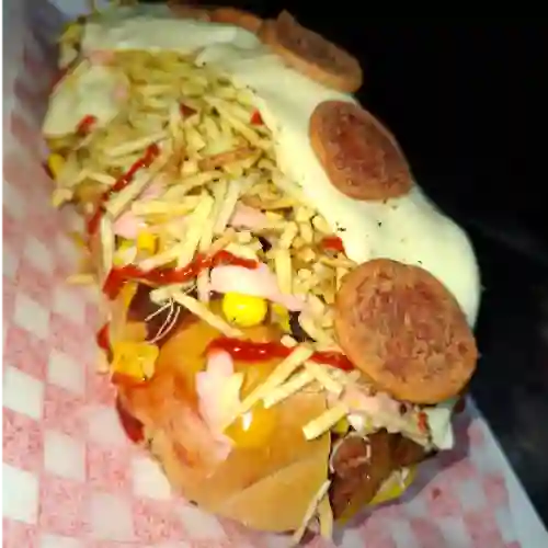 Perro Criollo
