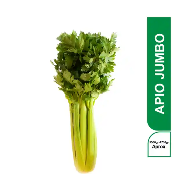 Apio Jumbo