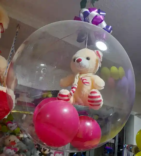 Globo Burbuja Con Peluche