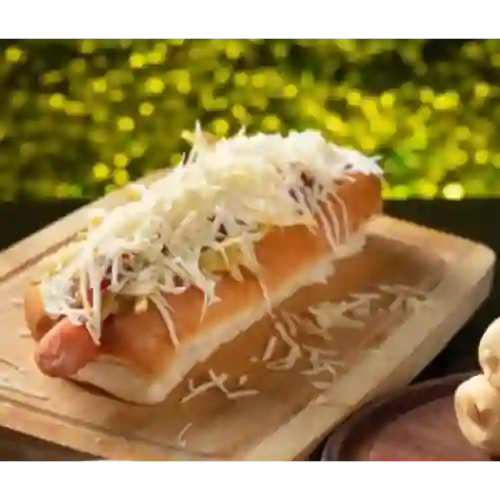 Perro Sencillo