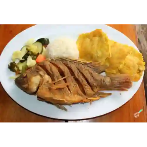 Tilapia Frita