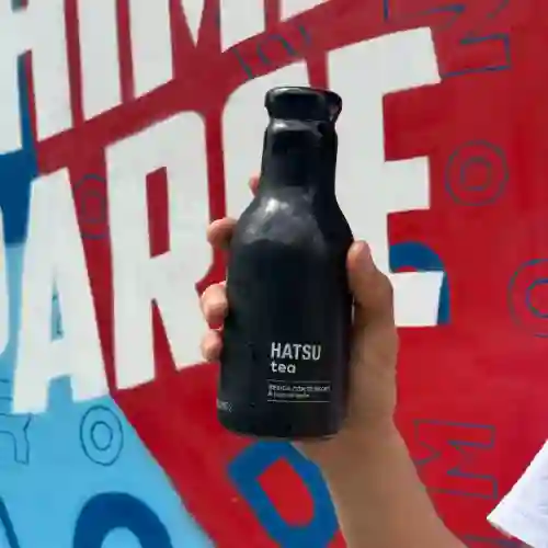 Té Hatsu Negro
