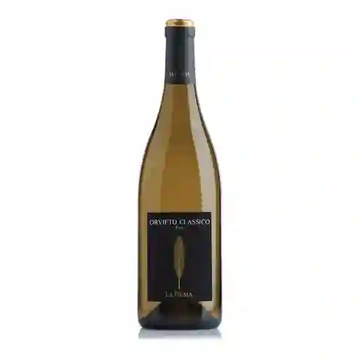 V.orvieto Dop Classico 21 La Piuma Marca Exclusiva