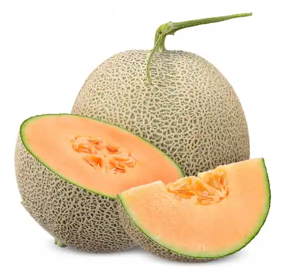 Melón