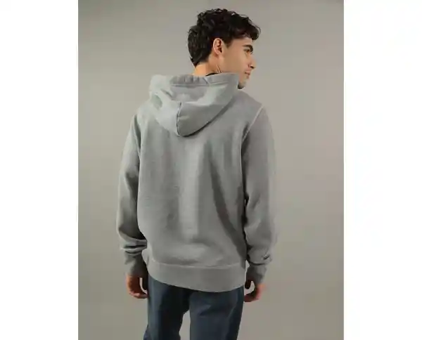 Buzo Hombre Gris Talla X-Small American Eagle