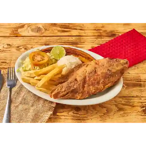 Tilapia