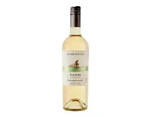 Morande Vino Blanco Pionero Reserva Sauvignon Blanc Botella