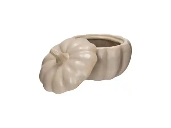 Bowl Con Tapa Casaideas