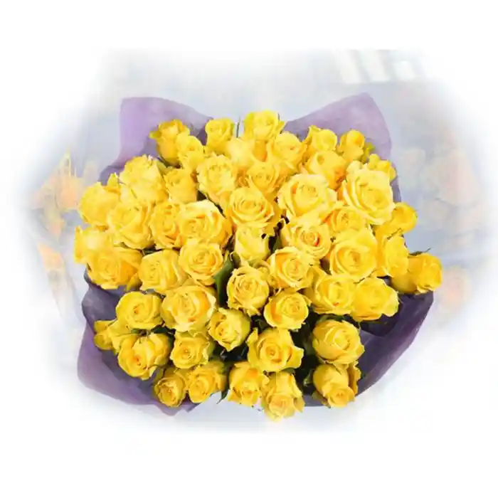 Rosas 40 Cm X 48 Tallos Rosado