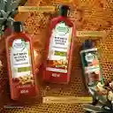 Acondicionador Herbal Essences Bio:Renew Bourbon Miel de Manuka Rinse 400 ml