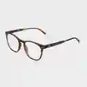 Barner Gafas Reading Dalston Carey + 1.00