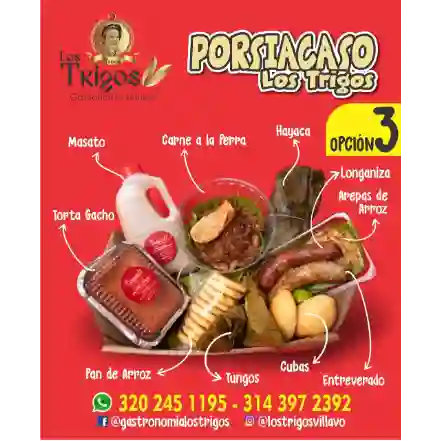 Llanera 3