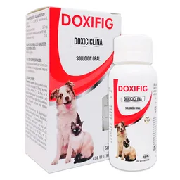 Doxifig Solución Oral 60 mL