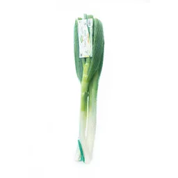 Hortifresco Cebolla Junca Orgánica