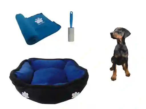 Hally Pets Set Cama + Cobija + Quitamotas Azul Claro OT0003