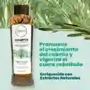 Shampoo Con Romero - Anyeluz
