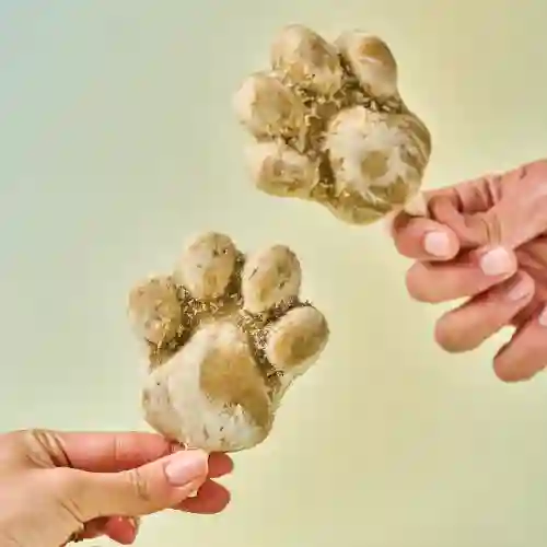 Doggettos- Paletas para Perro