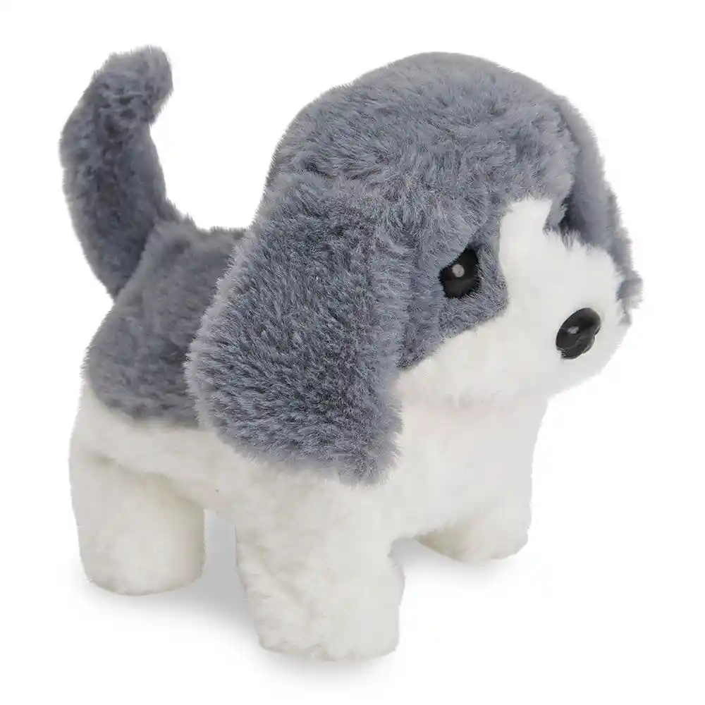 Roleplace Set Veterinario Perro C/guacal