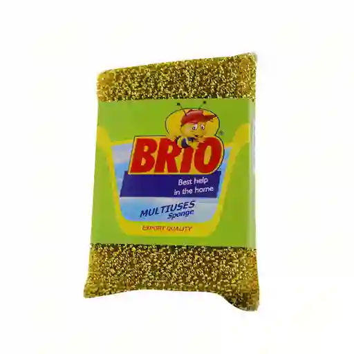 Brio Esponja 