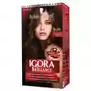 Igora Brillance Tinte Capilar Permanente Tono Chocolate Intenso