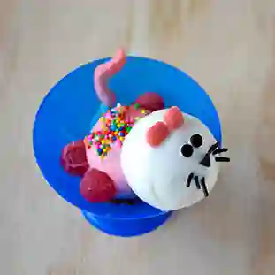 Gato
