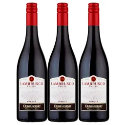 Vino Lambrusco Zonin Rossato Ognigiorno X750 Ml 2X3