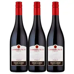 Vino Lambrusco Zonin Rossato Ognigiorno X750 Ml 2X3