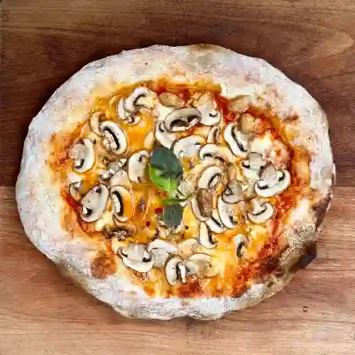Funghi