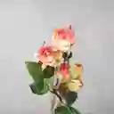 Ambiente Gourmet Flor Mini Rosas