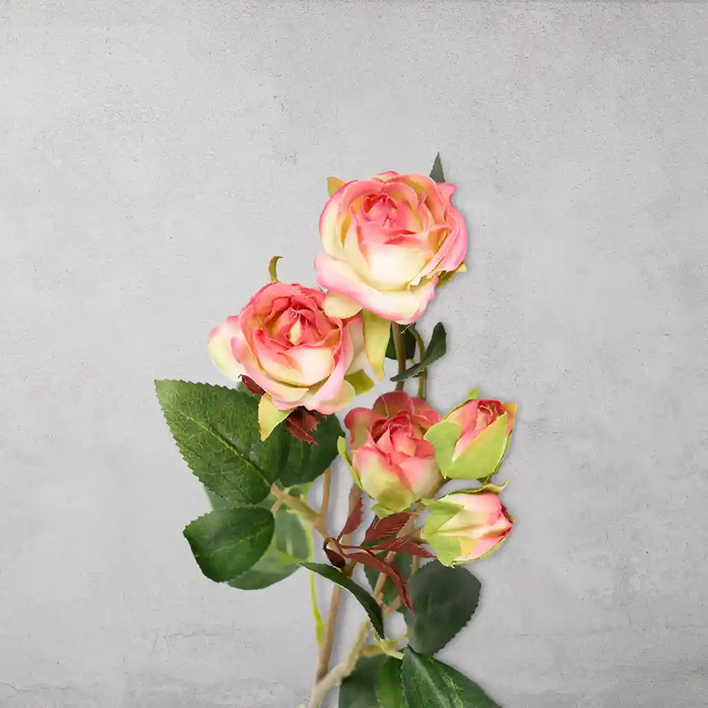 Ambiente Gourmet Flor Mini Rosas