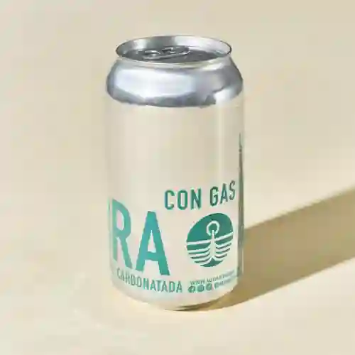 Agua Mineral Carbonatada Siembra 355 ml