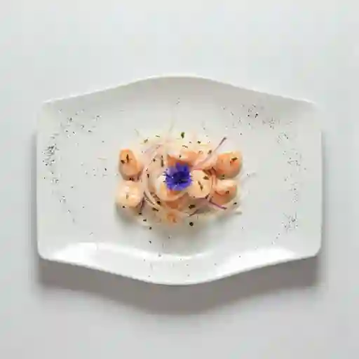 Ceviche de Pescado y Camarón