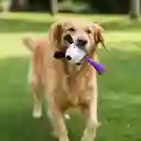 Juguete Para Mascota Serie Snoopy Colorfull Life Miniso