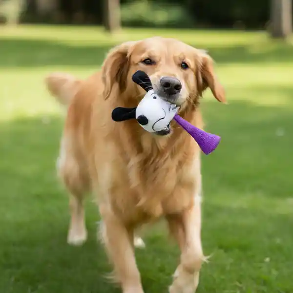 Juguete Para Mascota Serie Snoopy Colorfull Life Miniso