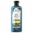 Shampoo Herbal Essences Bio:Renew Aceite de Argan de Marruecos Champu 400 ml
