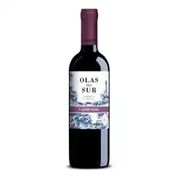 Olas del Sur Vinto Tinto Carmenere 