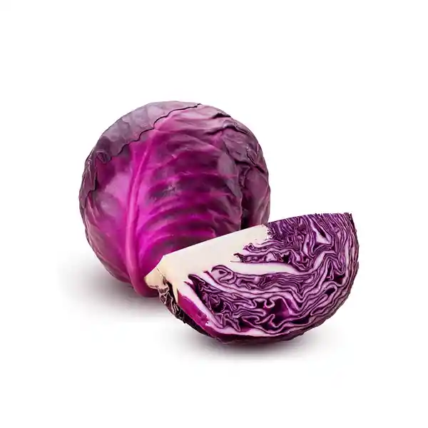 Repollo Morado