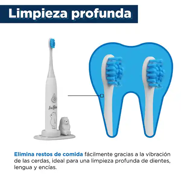 Cepillo de Dientes Eléctrico Modelo Polar Serie we Bare Miniso