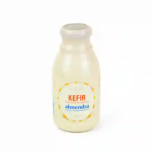Viiva Fermentados Keffir de Almendra